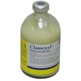 Clamoxyl RTU injection 250ml, image 