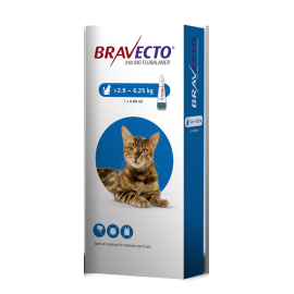Bravecto Spot Medium Cat (2.8-6.25KG) 250mg, image 