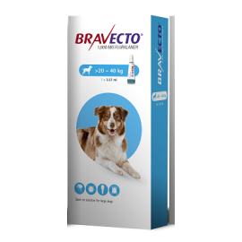 Bravecto Spot On Large Dog (20-40kg) 1000mg, image 