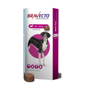 Bravecto Chewable Tablet Extra Large Dog (40-56 kg) 1400mg 1 x tab, image 