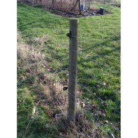 Mains Powered Electric Fence Protection for a, image 