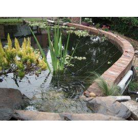 NEW - 5 Extra Long Over Hanging Pond or Fence, image 