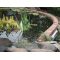 60m Battery Powered Garden & Pond Protection , image 